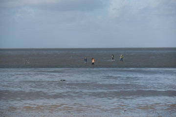 people in a wide minimalistic wadden sea landscape