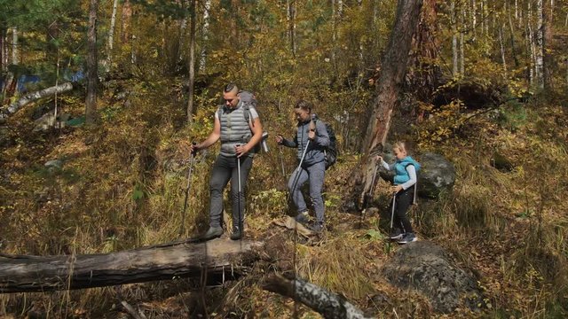 People walk along fallen log bridge over river. Family travels. People environment by mountains, rivers, streams. Parents and kids walk using trekking poles. Man and woman have hiking backpacks. Dad