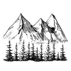 Hand drawn sketch of pine forest and mountains.