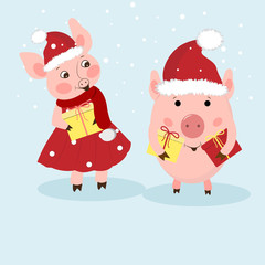 New Year card. A couple of funny piglets congratulates on a holiday. Pigs in Santa's hats, dress, scarf. Vector illustration in cartoon style