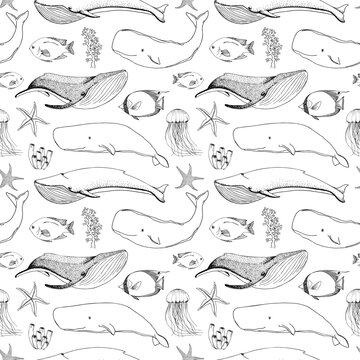 Seamless pattern with whales, orcs and other fishes.