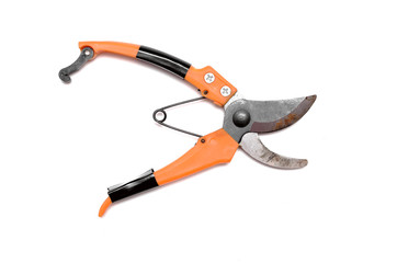 Secateurs pruner isolated on the white background.