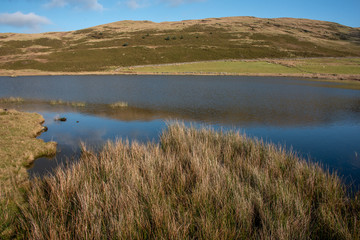 Fototapeta na wymiar Mountain lake with reeds landscape