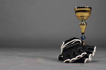Boxing gloves and golden award cup isolated on gray studio background with copy space.