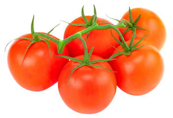 Tomato. Tomato branch. Tomatoes isolated on white. With clipping path