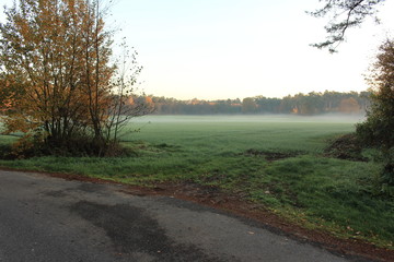Nebel auf dem Land