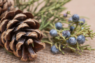 Winter holiday decoration: juniper twig and cones on burlap background