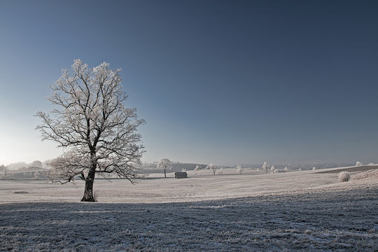 Winterlandschaft