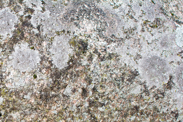 texture of old stone. background