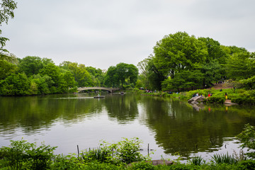 Central Park - New York City