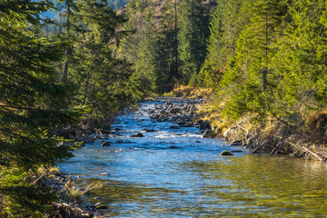 Chocholowski stream, Tatry, Poland