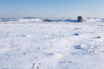 Obraz premium Winter field under blue sky