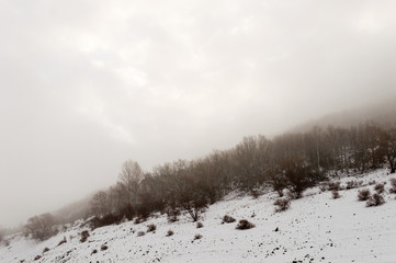 slope of willows, chestnuts and beech trees, covered by snow, with the top of the mountain covered by snow, with sunlight crossing through the clouds.