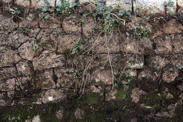 Old stone wall in Boka Kotorska