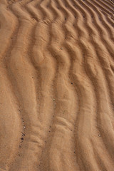 Ripples in the sand 