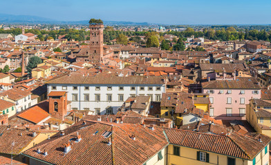 Panoramic view in Lucca, with the famous Guinigi Tower. Tuscany, Italy. - obrazy, fototapety, plakaty