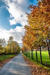 Autunno a Busca, Cuneo