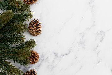 Christmas fir tree branches on a marble background