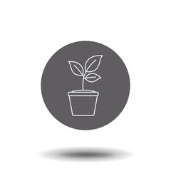 eco plant icon. Trendy modern flat linear vector eco plant icon on white background from thin line Ecology collection, outline vector illustration