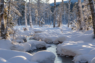 Fototapeta premium winter landscape with river and trees