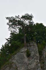 Ojcowski Park Narodowy latem © Olga Korowacka