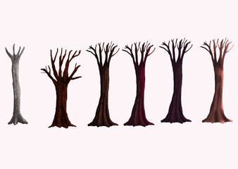 Assortment of tree trunks