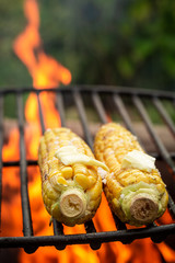 Fresh and healthy corncob on grill with salt and butter