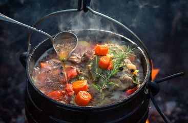 Tasty and homemade hunter's stew with meat and carrots - obrazy, fototapety, plakaty
