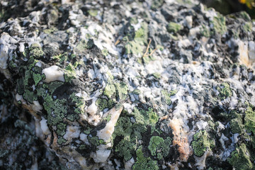 Texture of Ural mountains