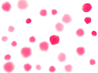 Pink rose petals falling vector valentine background.