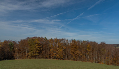 Meadows and forest over Pitin town in Moravia region