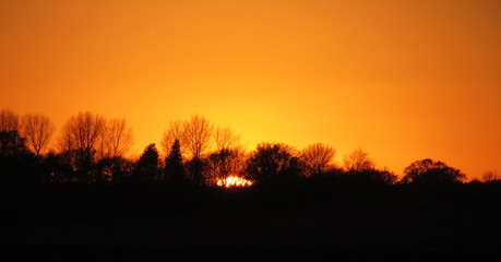 Orange Sunset