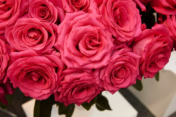 Fresh cut red roses and arrangements in florist shop, tracking shot