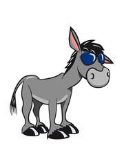 esel traurig müde tier muli natur vierbeiner muli cartoon grautier sonnenbrille mehrfarbig