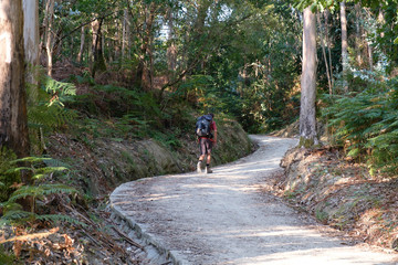Obraz premium Pilger auf dem Jakobsweg (von Porto nach Santiago de Compostela)