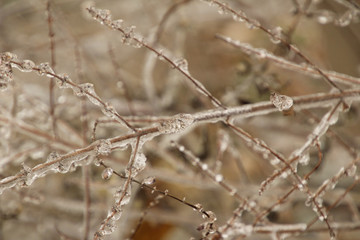 Surrounded in Ice