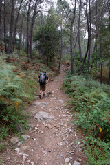 Pilger auf dem Jakobsweg (von Porto nach Santiago de Compostela)