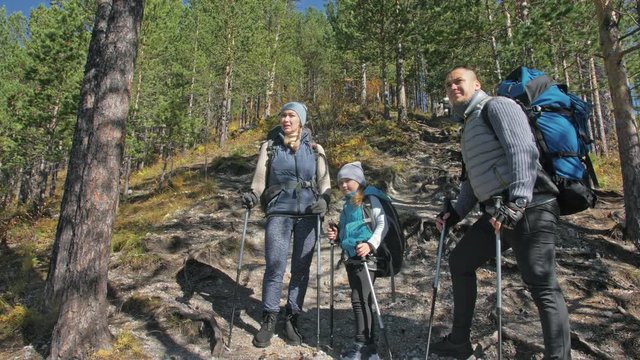 Family travels. People environment by mountains, rivers, streams. Parents and kids walk using trekking poles. Man and woman have professional hiking backpacks, flasks, mugs and other equipment. Dad
