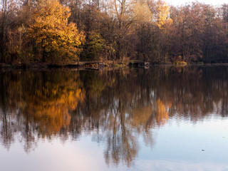 Fototapeta premium Spaziergang im Herbst entlang eines kleinen Sees in Bünde Deutschland. Wunderschöne Spiegelungen der Bäume im Wasser.