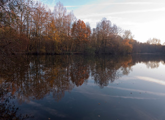 Fototapeta premium Spaziergang im Herbst entlang eines kleinen Sees in Bünde Deutschland. Wunderschöne Spiegelungen der Bäume im Wasser.