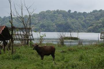 Impressionen Bali