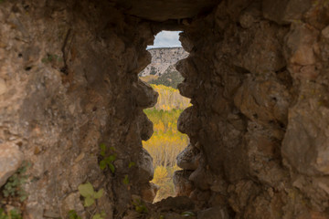 Poplar tree plantation through a hole in autumn, Rio Lobos Canyon in Soria, Spain