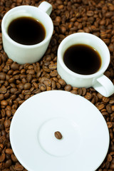 a coffee bean on a plate