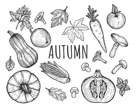 autumn seasonal menu fruits and vegetables
