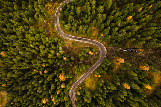 Curvy road in atumn forest.