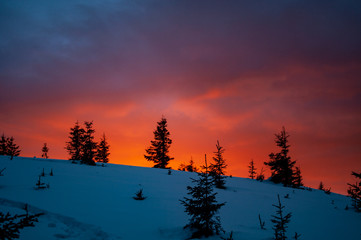 Sunrise in the winter in the Carpathians