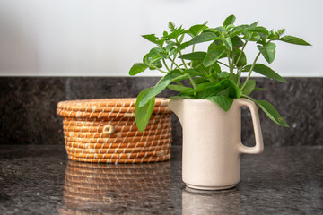 fresh seasoning ready to use, basketi in the background