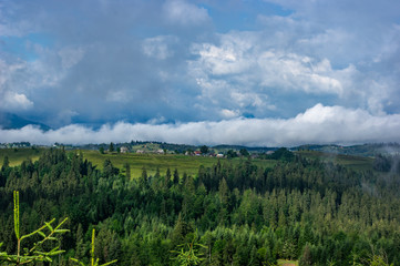 Morning in the village