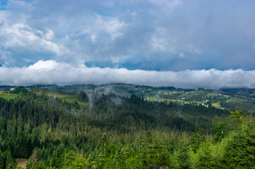 Morning in the village