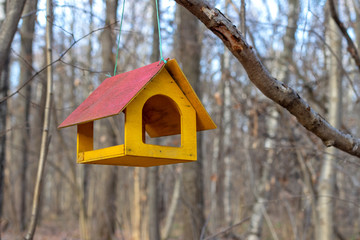 Yellow bird feeder in the park
